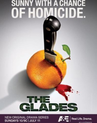 : The Glades S01E08 So stirbt kein Gentleman German Dl 720p Web H264-Rwp