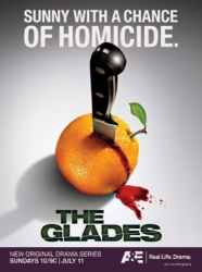 : The Glades S01E13 Falsche Entourage German Dl 720p Web H264-Rwp