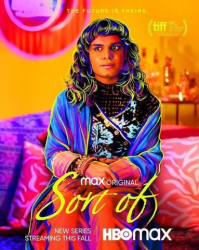 : Sort Of S01E03 German Dl 720p Web h264-WvF