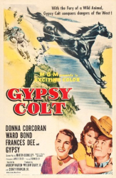 : Treue Gypsy Colt German 1954 720p HDTV x264-ETM