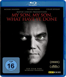 : My Son My Son What Have Ye Done German Dl 2009 Ac3 Bdrip x264 iNternal-VideoStar