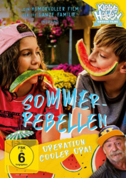 : Sommer Rebellen German 2021 Ac3 Dvdrip x264-Savastanos