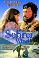 : Wie ein Schrei im Wind 1966 German 720p BluRay x264-SpiCy