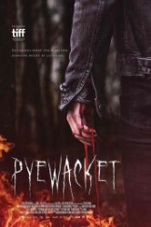 : Pyewacket - Tödlicher Fluch 2017 German 800p AC3 microHD x264 - RAIST