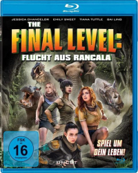 : The Final Level 2019 German Ac3 BdriP XviD-Mba