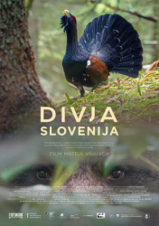 : Wildes Slowenien 2021 German Doku 720p Hdtv x264-Tmsf