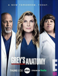 : Greys Anatomy S18E02 German Dubbed WebriP x264-idTv