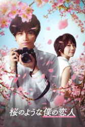 : Love like the falling Petals 2022 German Subbed 720p Web H264-ZeroTwo