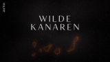 : Wilde Kanaren German Doku 720p Hdtv x264-Pumuck