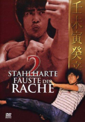 : 2 Stahlharte Faeuste der Rache 1972 German Dvdrip x264-RobertDeNiro