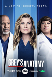 : Greys Anatomy S18E08 German Dubbed WebriP x264-idTv