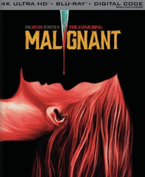 : Malignant 2021 German Dl 1080p BluRay x265-PaTrol