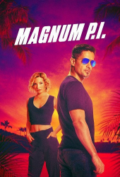 : Magnum P I S04E01-E10 German DL WEBRip x264 - FSX