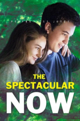 : The Spectacular Now 2013 German Ac3 Dl 1080p Bdrip x265-FuN