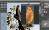 : SpeedTree Modeler v9.1.1 Cinema Edition (x64)