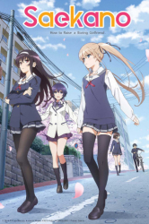 : Saekano How to Raise a Boring Girlfriend E12 Ein gewoehnliches Ende mit Tumult und Chaos German 2015 AniMe Dl 720p BluRay x264-Stars