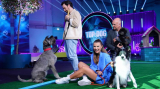 : Top Dog Germany Der beste Hund Deutschlands S02E01 German 720p Web x264-Atax