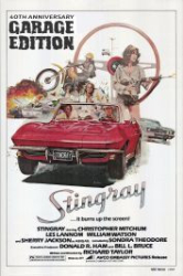 : Stingray 1978 German 1040p AC3 microHD x264 - RAIST