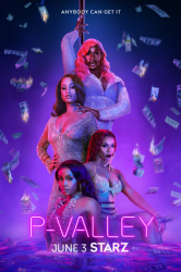 : P-Valley S02E01 German Dl 720p Web x264-WvF