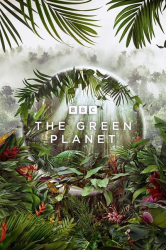 : Unser gruener Planet S01E01 German Dl Dtsd 2160p Uhd BluRay x265-Uhdtv