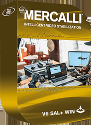 : proDAD Mercalli V6 SAL v6.0.615.1