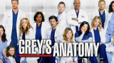 : Greys Anatomy S18 Complete German DL WEBRip x264 - FSX