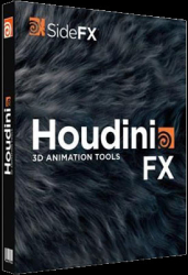 : SideFX Houdini FX v19.5.303