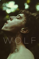 : Wolf 2021 German Dl 720p Web h264-WvF