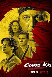 : Cobra Kai S05 Complete German DL 720p WEB x264 - FSX