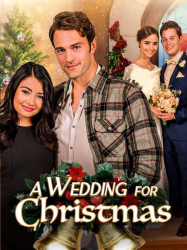 : A Wedding for Christmas 2018 German Dl 720p WebHd h264 iNternal-DunghiLl