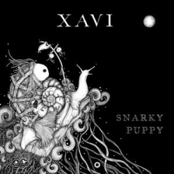 : Snarky Puppy FLAC-Box 2006-2016