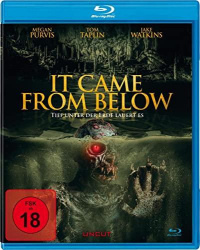 : It Came from Below German 2021 Ac3 BdriP x264-Savastanos