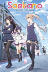 : Saekano - How to raise a boring Girlfriend fine 2019 German 1080p AC3 microHD x264 - RAIST