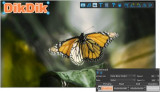 : DikDik v5.6.0.0 (x64)