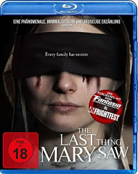 : The Last Thing Mary Saw German 2021 Ac3 BdriP x264-Wdc