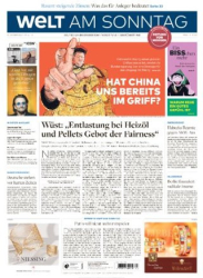 :  Die Welt am Sonntag (Frühausgabe) vom 29 Oktober 2022