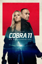 : Alarm fuer Cobra 11 S49E03 German 720P Web X264-Wayne