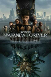 : Black Panther Wakanda Forever 2022 German CAM MD 1080p x264 - iDiOts