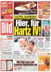 :  Bild Zeitung vom 17 November 2022