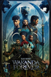 : Black Panther Wakanda Forever 2022 Ts Ld German x264-PsO