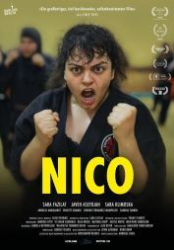 : Nico 2021 German 960p AC3 microHD x264 - RAIST