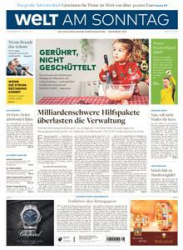 :  Die Welt am Sonntag vom 27 November 2022