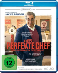 : Der perfekte Chef 2021 German 720p BluRay x264-DetaiLs