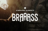 : uJAM Symphonic Elements BRAAASS v1.1.1