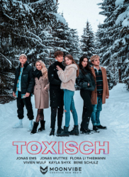 : Toxisch S01E01 - E04 German 720p Web h264-WvF