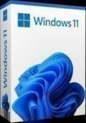 : Microsoft Windows 11 Pro 21H2 22000.1335 (x64)