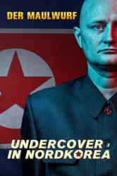 : The Mole Undercover in North Korea 2020 1080p Nf Web-Dl Aac2 0 H 264-Ntb