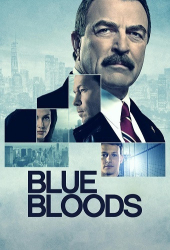 : Blue Bloods Crime Scene New York S12E01-E09 German DL 1080p WEB x264 - FSX