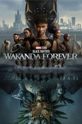 : Black Panther Wakanda Forever 2022 German Ld Bdrip x264-Prd