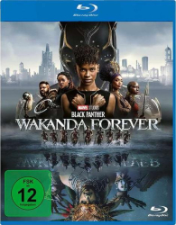 : Black Panther Wakanda Forever 2022 German Dl 720P Web X264-Wayne